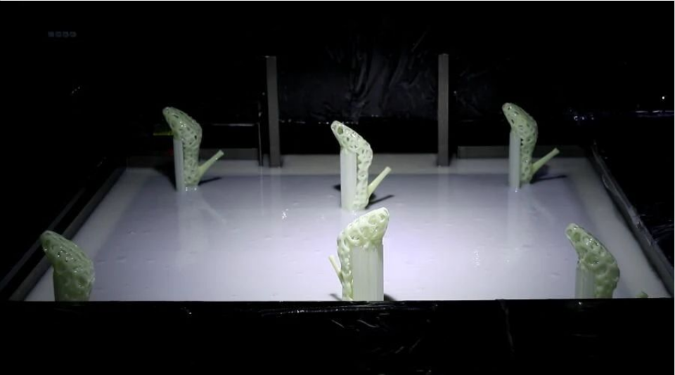 c1779109328db574c3f6c4e374f1f01a.png c1779109328db574c3f6c4e374f1f01a.png