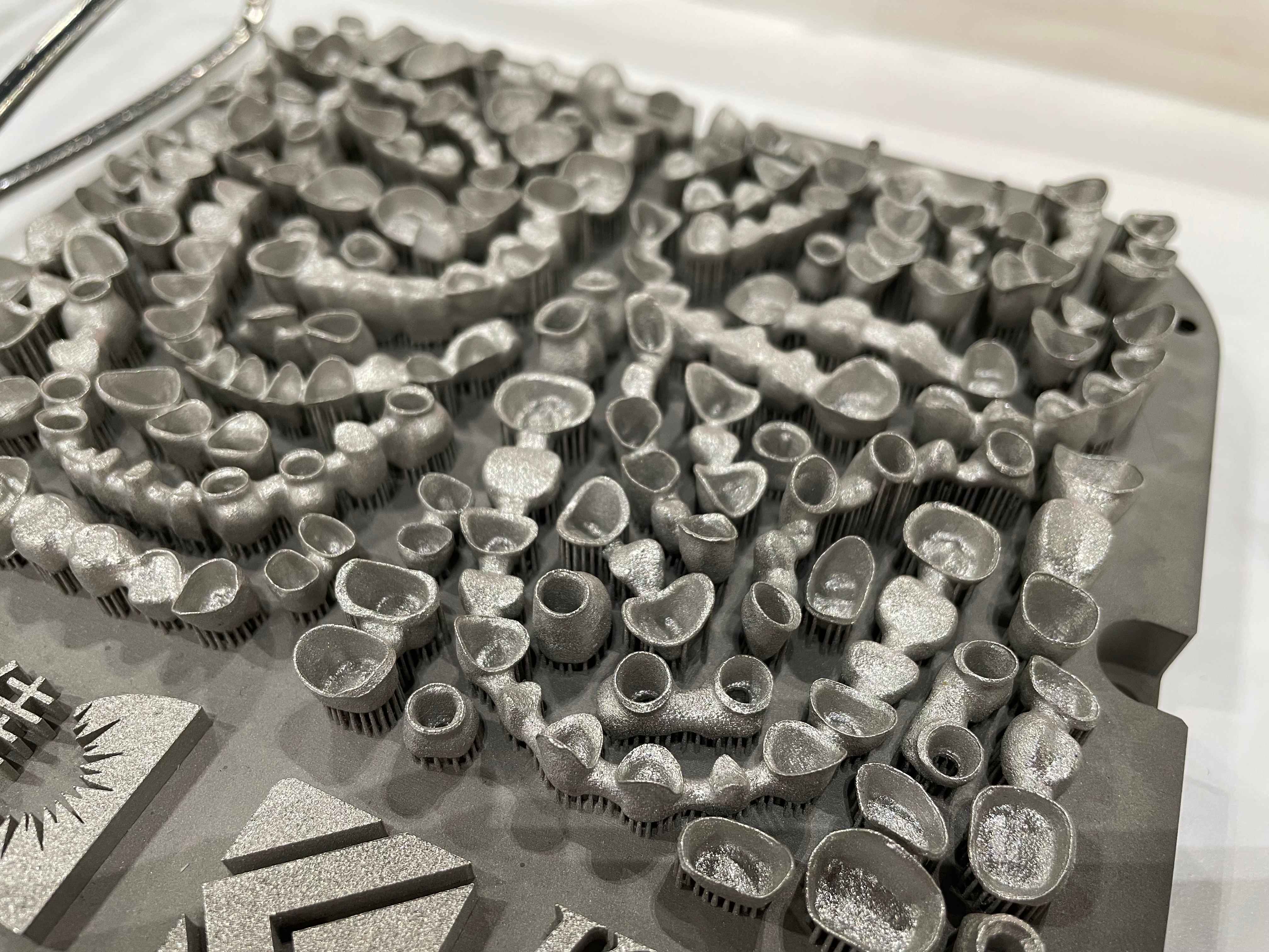 d1903653-7544-4666-930a-8e9d3f10dbb7(1).jpg d1903653-7544-4666-930a-8e9d3f10dbb7(1).jpg